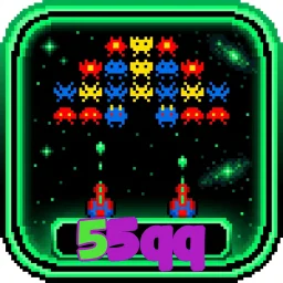 55qq