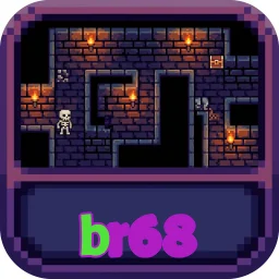 br68